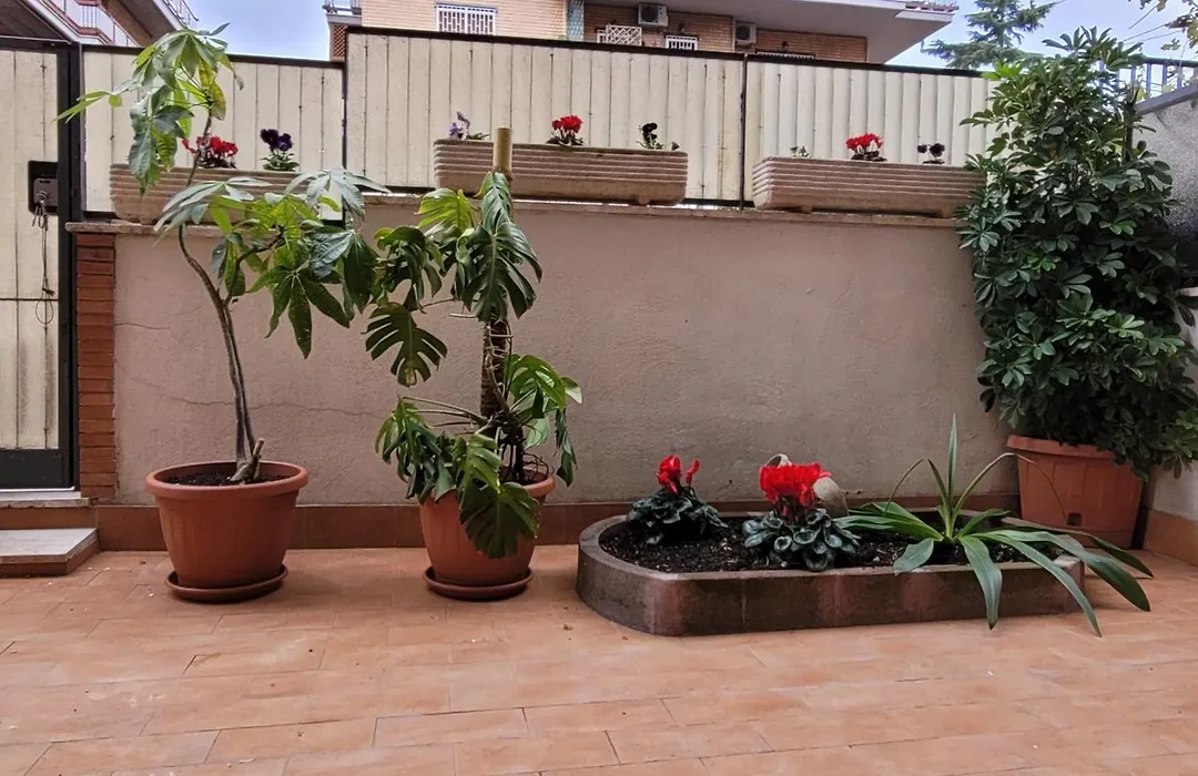Casa Costanza-1
